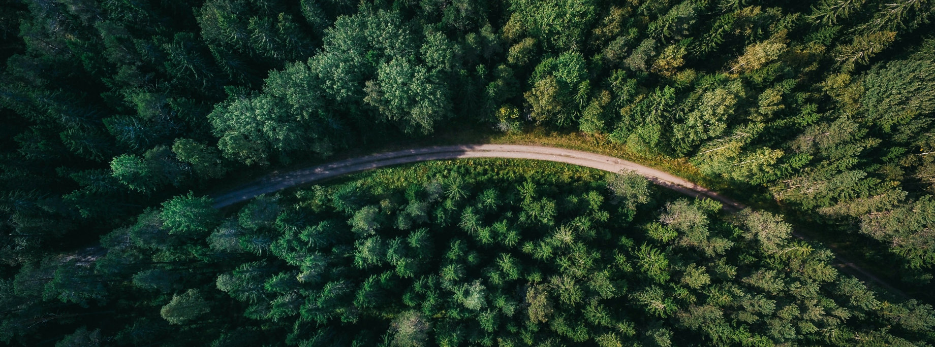 Vue de haut d'un chemin traversant la foret